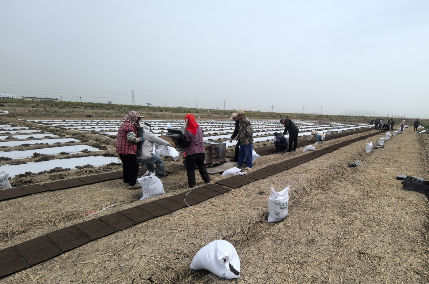 微信图片_20250425104039_副本