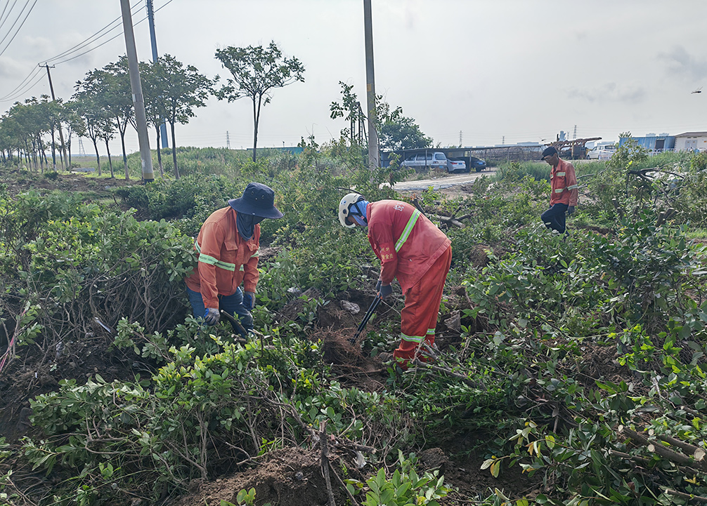 e47929409e8c4e5b933b7c1f025b1233