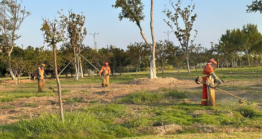 8f6ccc3b5c9c586036c63df7677b7ae5