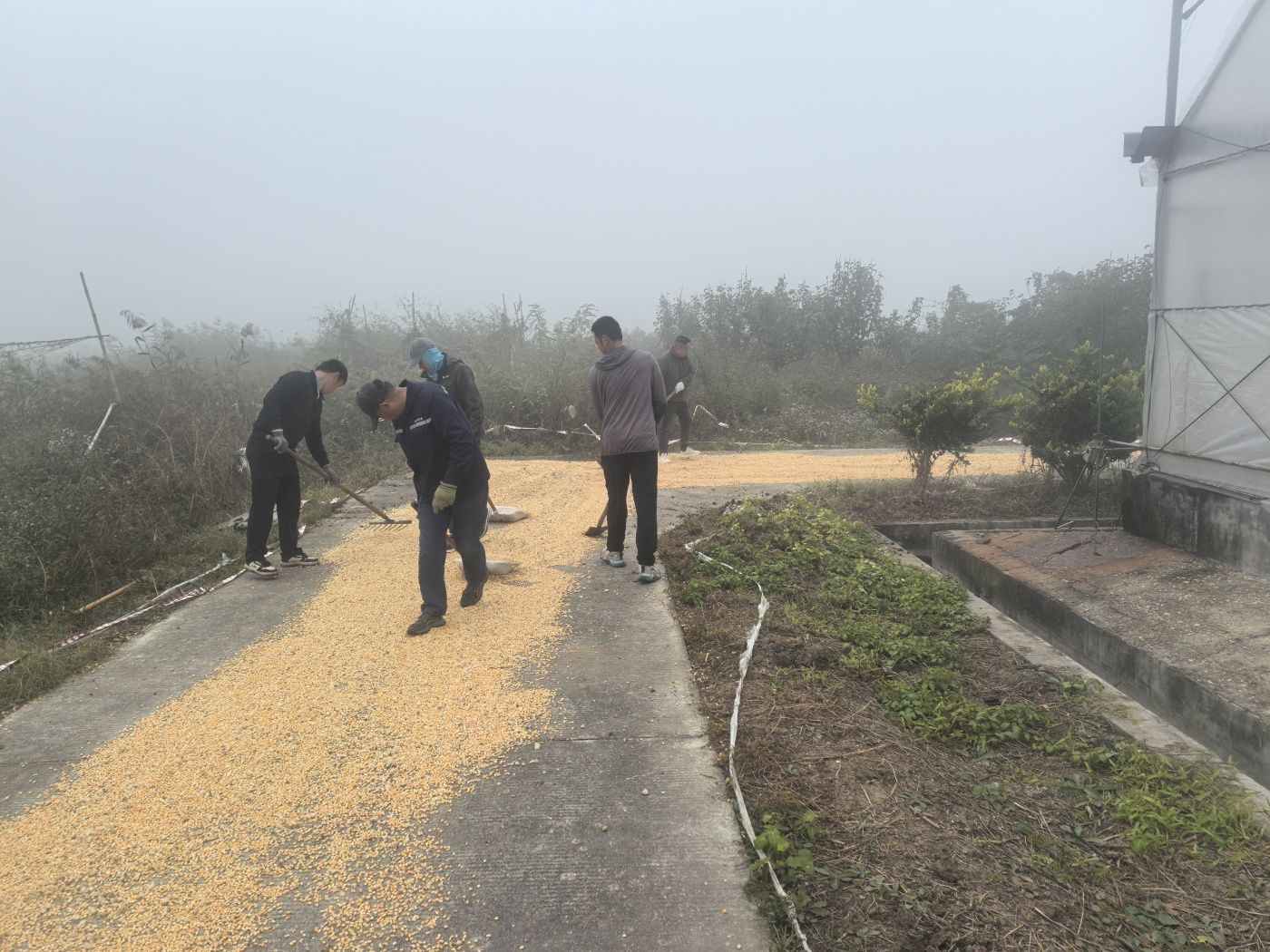 微信图片_20251103093610_24_242_副本