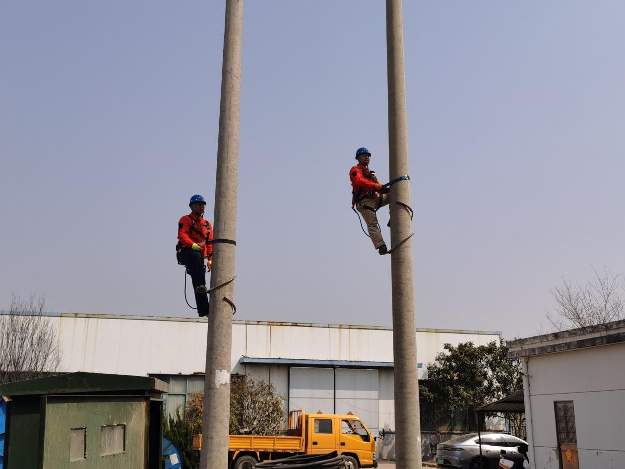 1679358182492026454.png 图片1.png